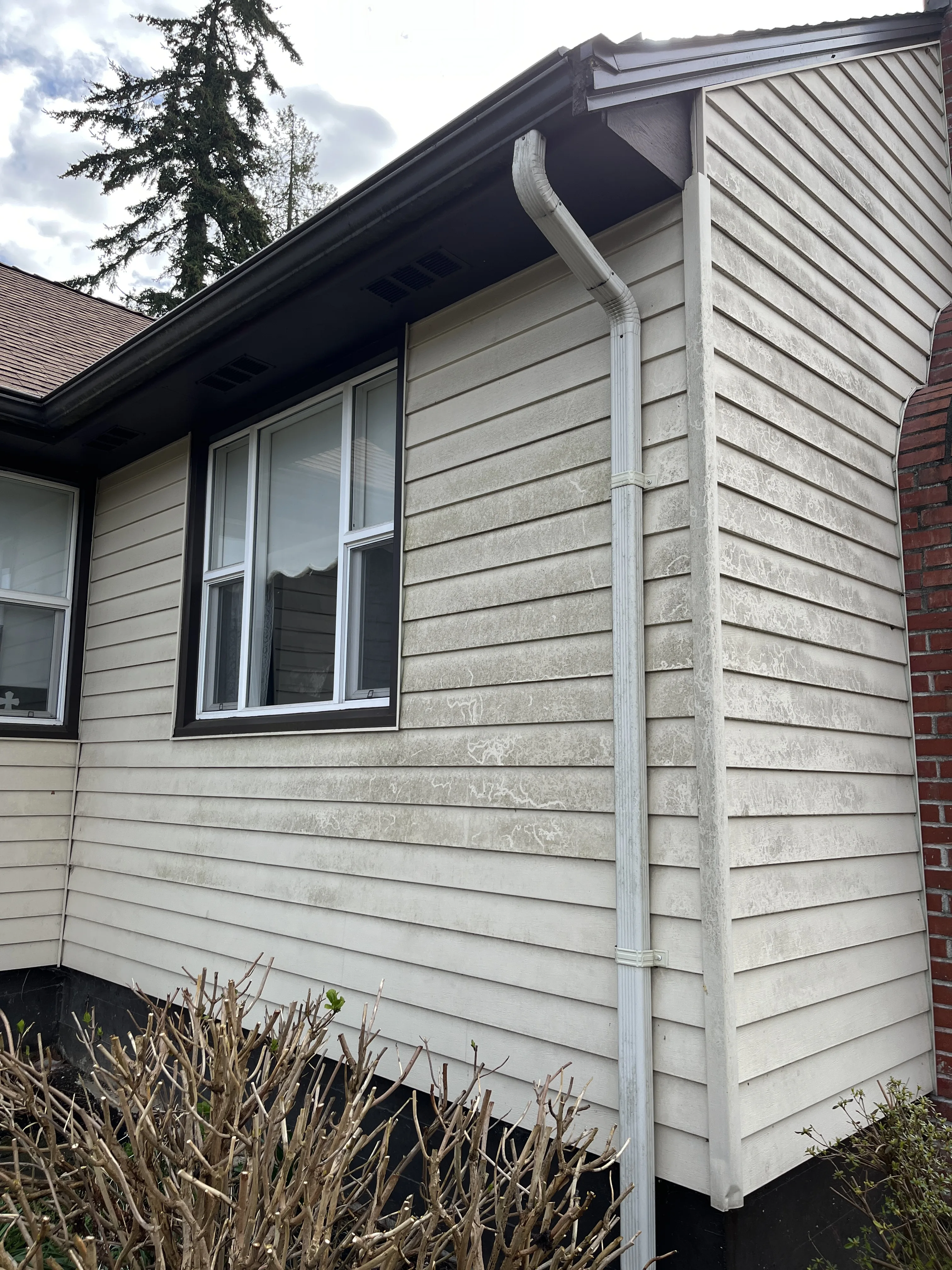 Before House Wash