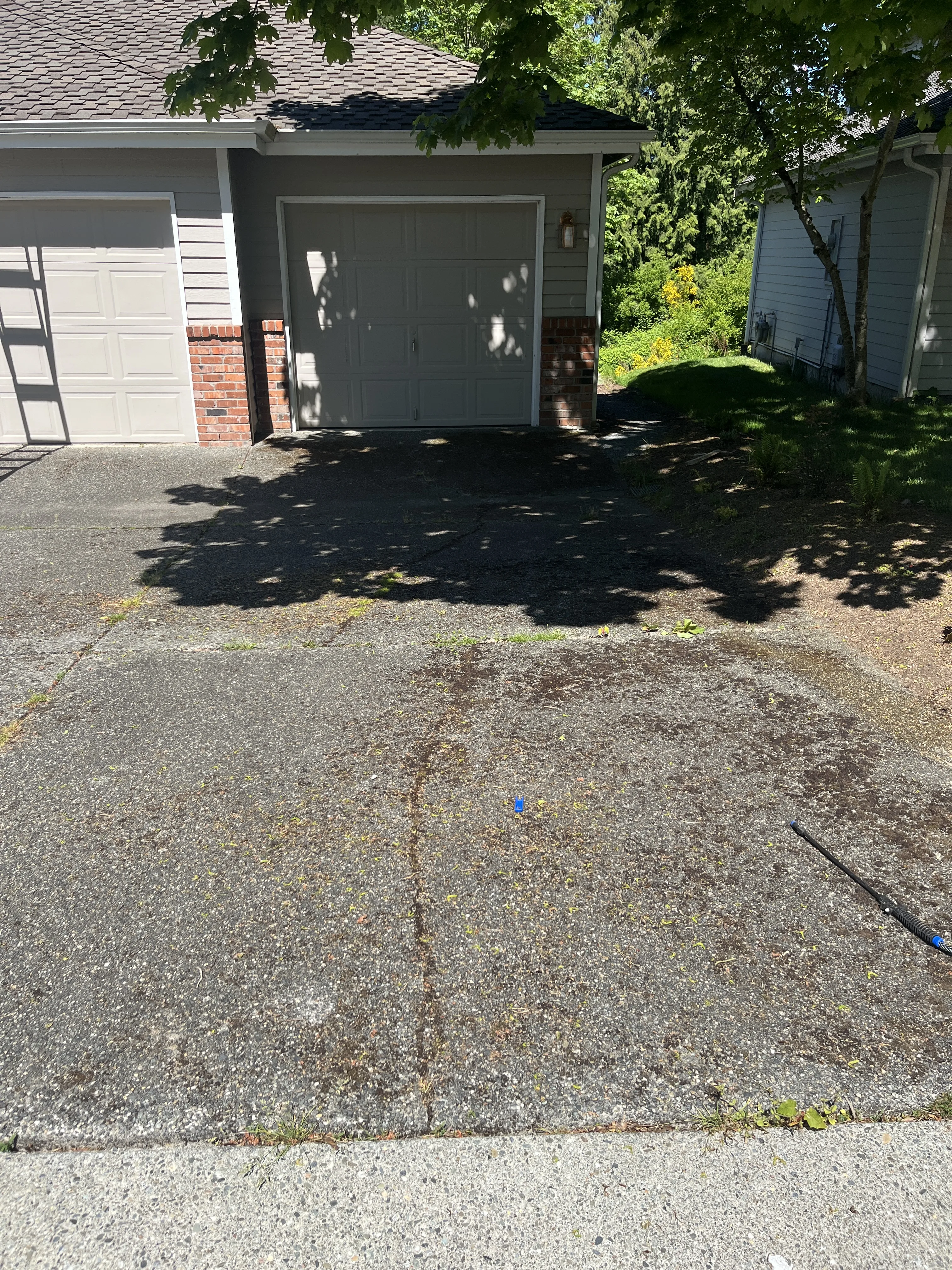 Before Residential Driveway