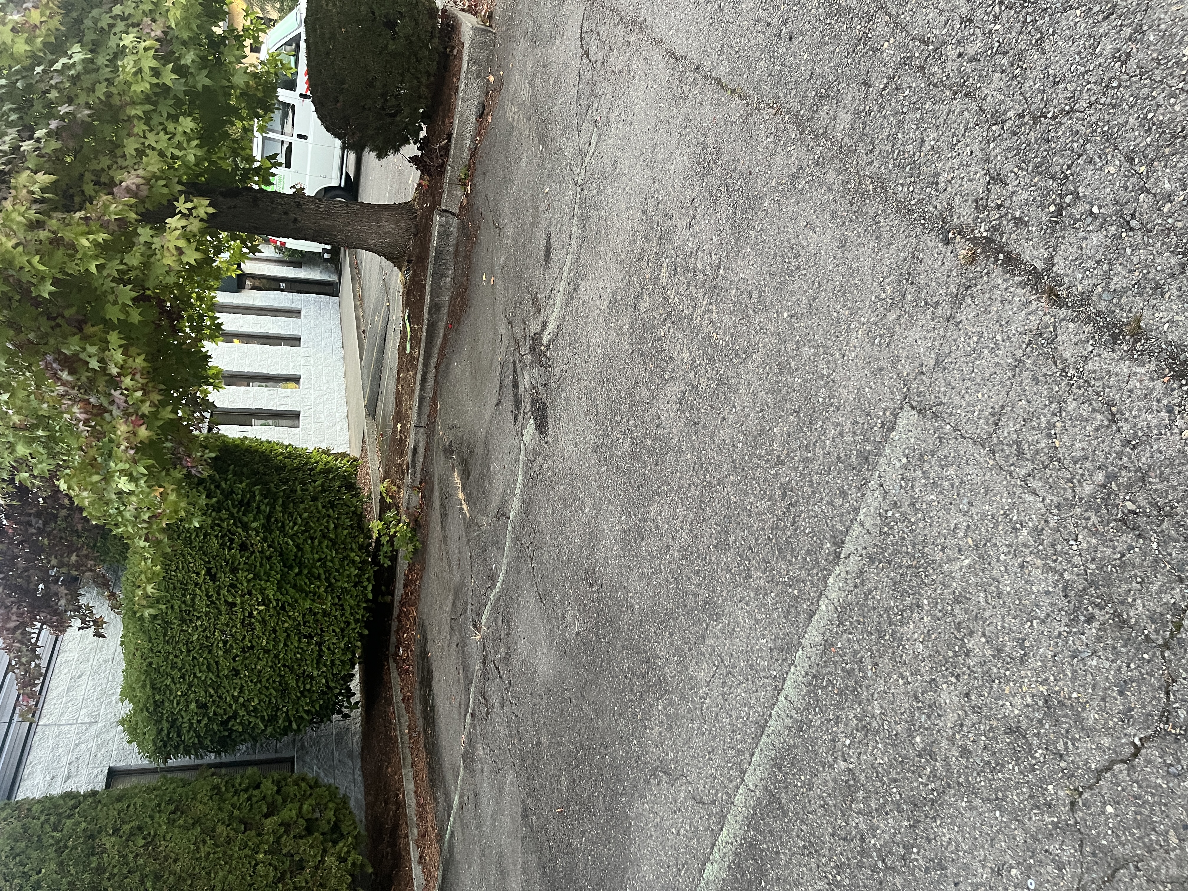 Before Commercial Lot Repair