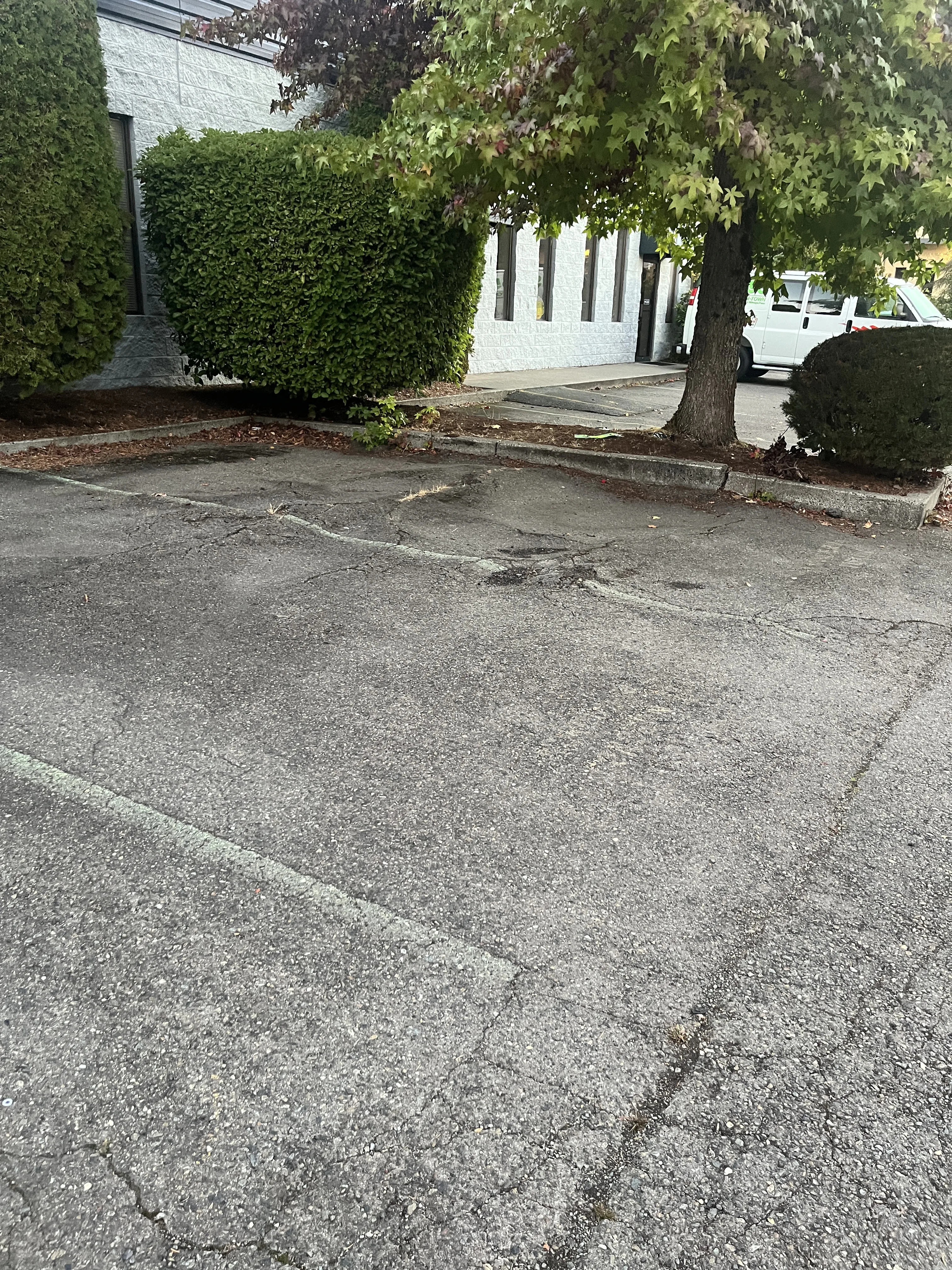 Before Commercial Lot Repair