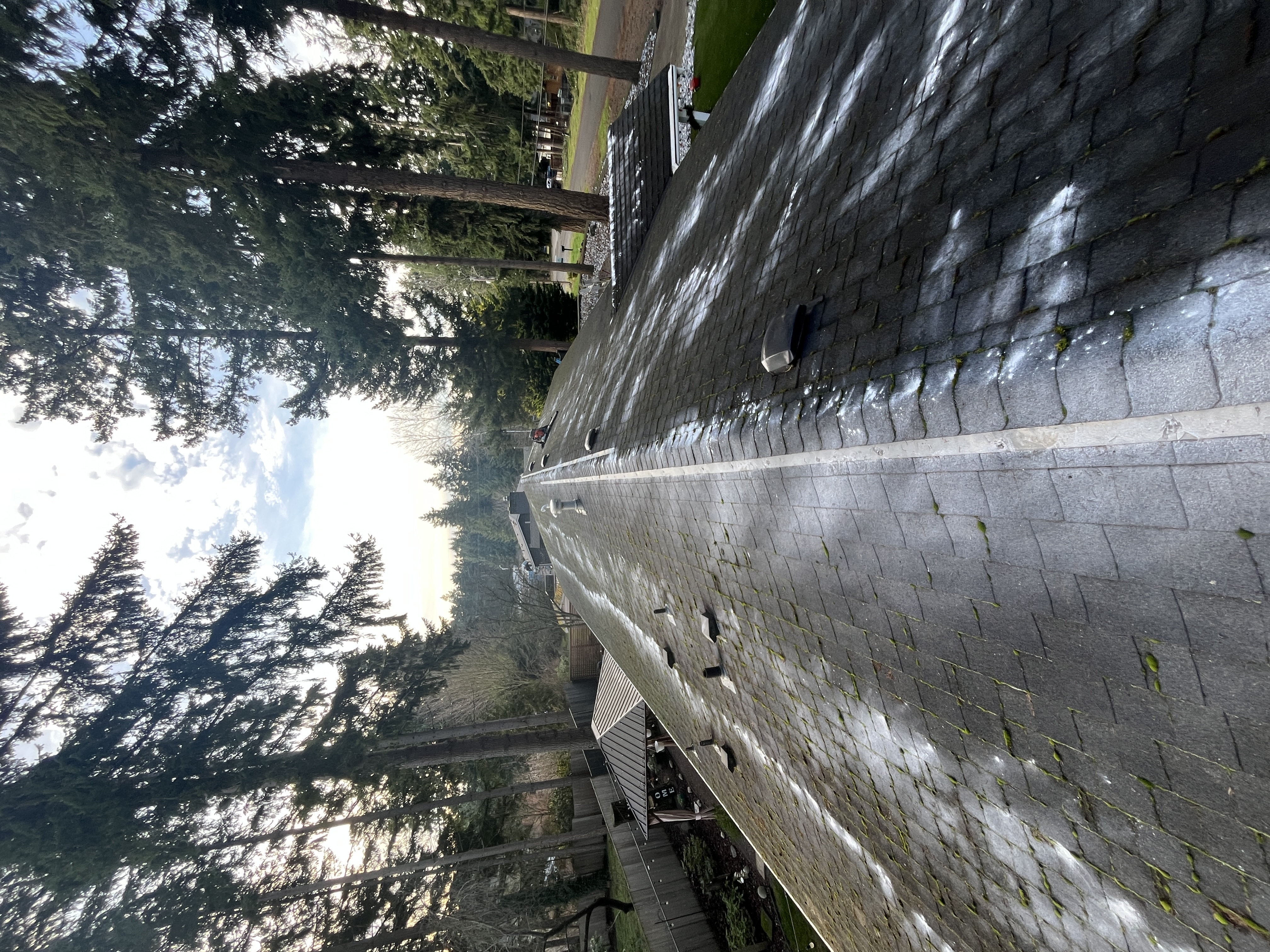 After Moss Removal & Soft Wash