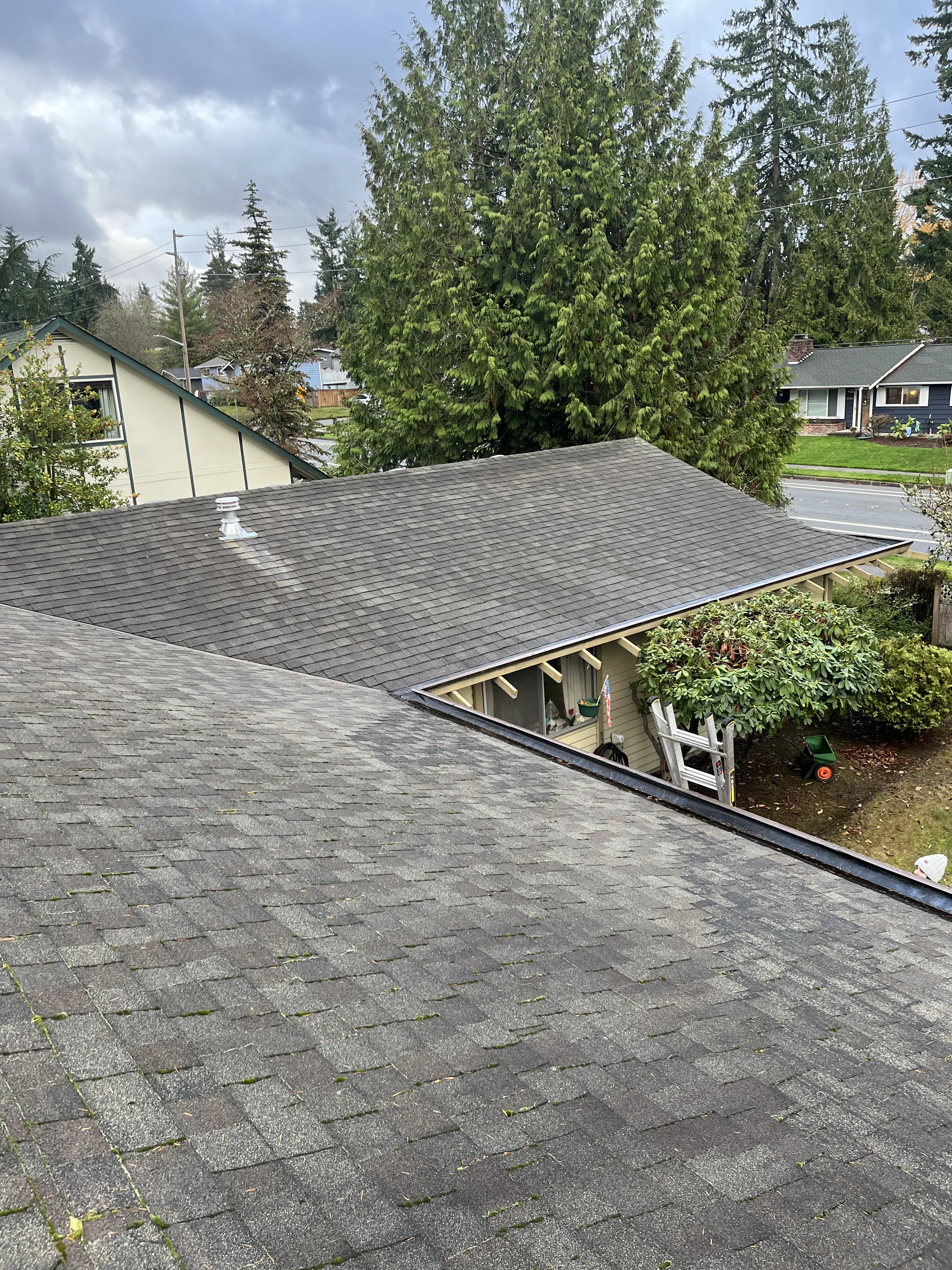 After Roof Cleaning