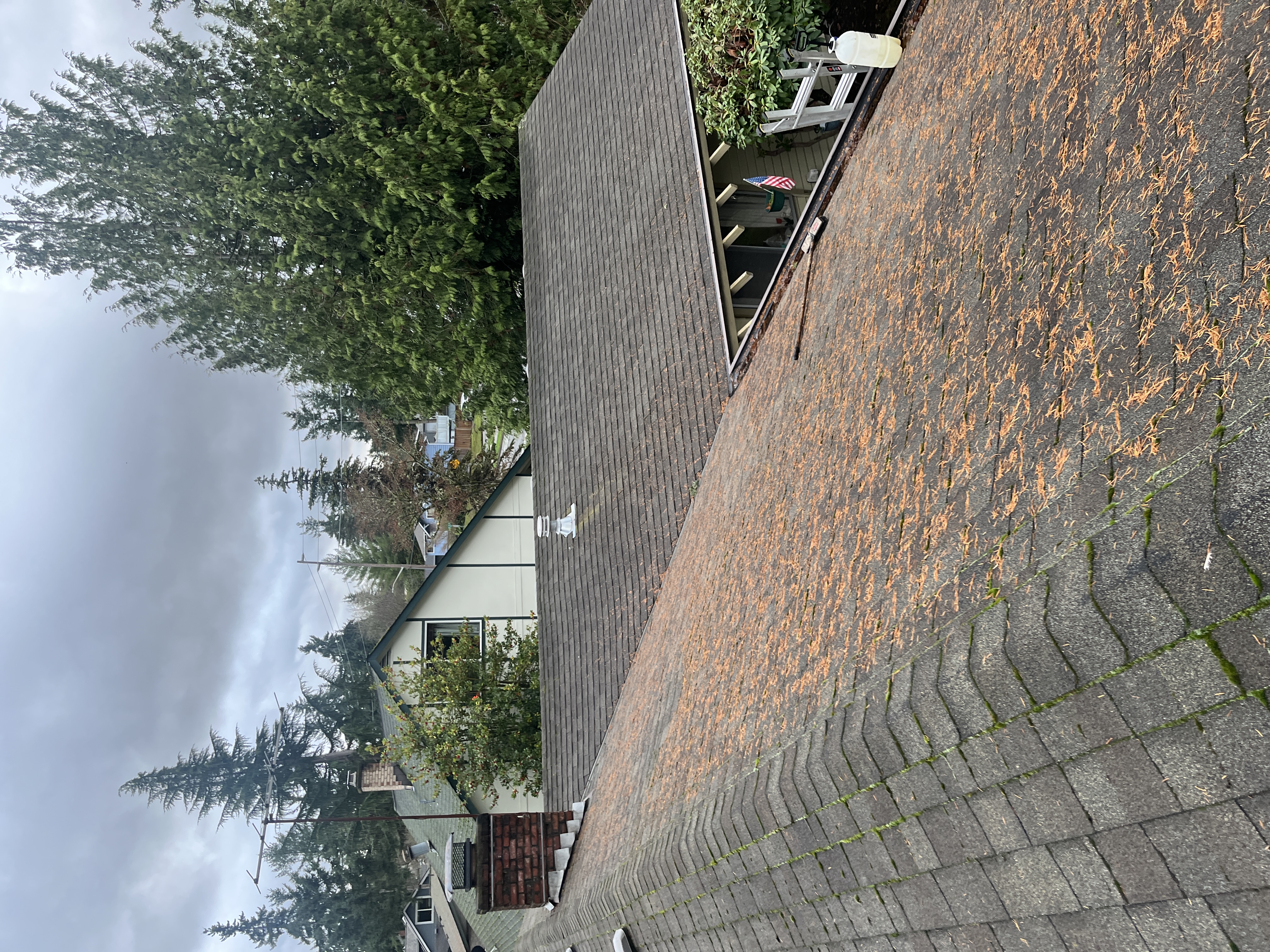 Before Roof Cleaning