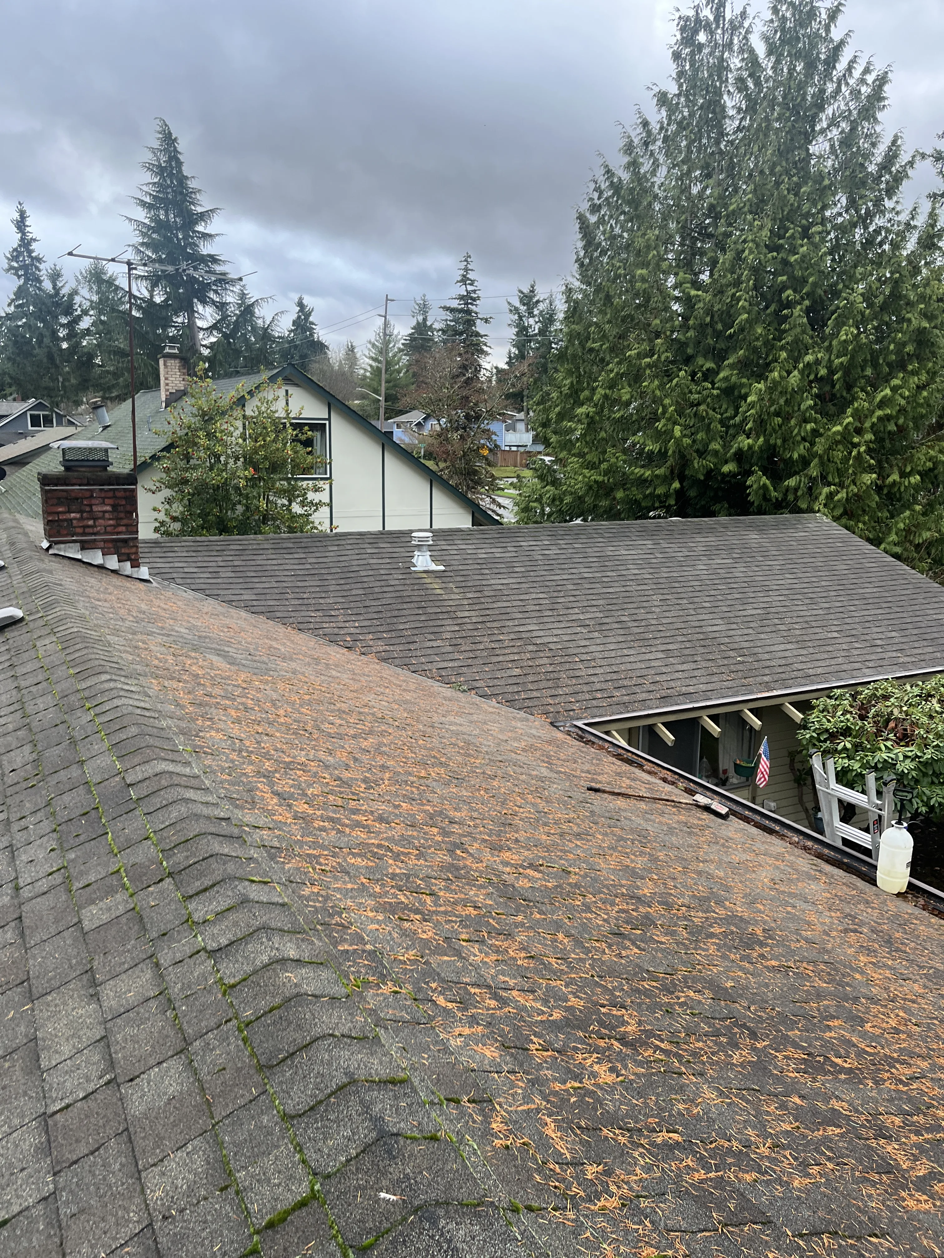 Before Roof Cleaning